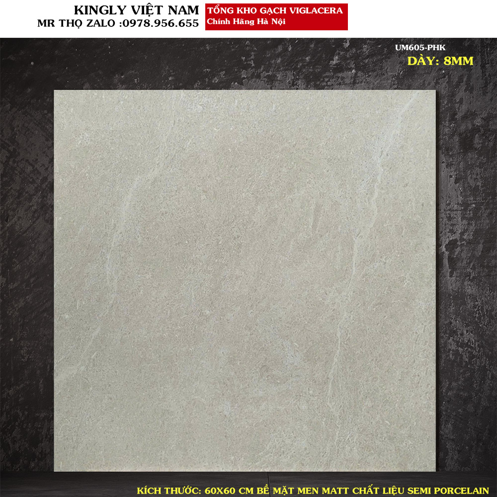 Gạch Viglacera 60x60 UM605